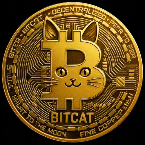 BITCAT logo